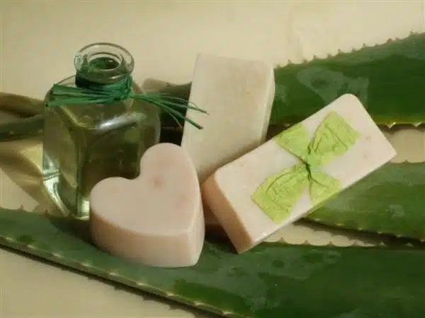 Sabonete de Aloe Vera branco com uma tonalidade levemente verde sobre três folhasd e babosa.