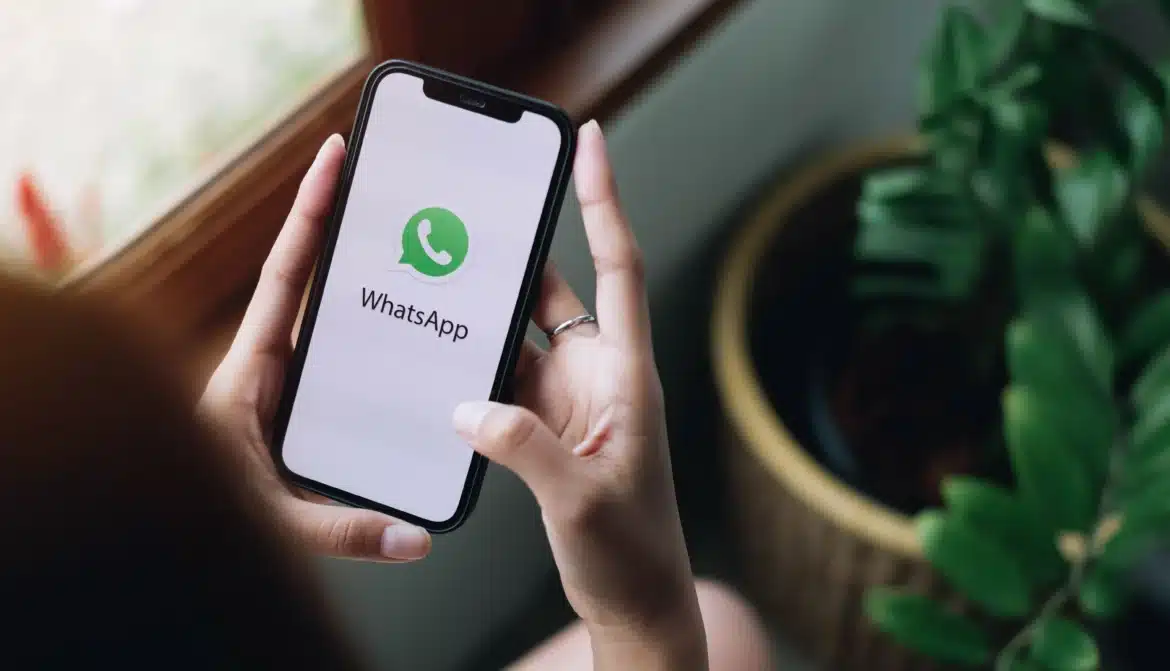 Whatsapp Business